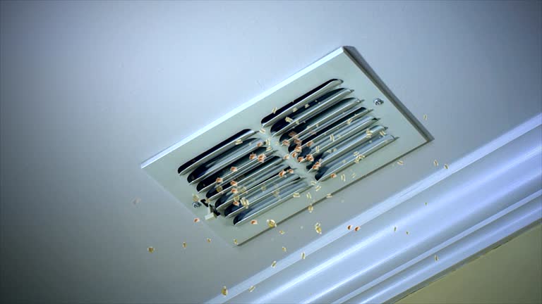 Best Ductwork Cleaning Services  in Owensville, IN