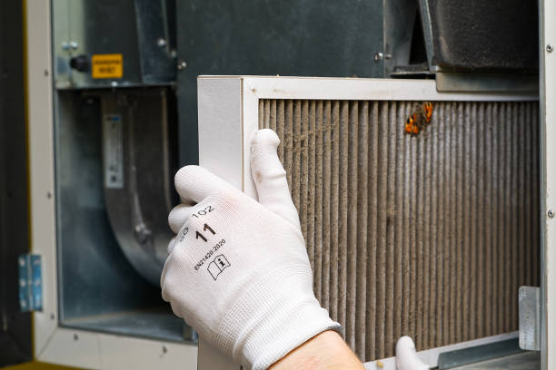 Best Home Air Vent Cleaning  in Owensville, IN