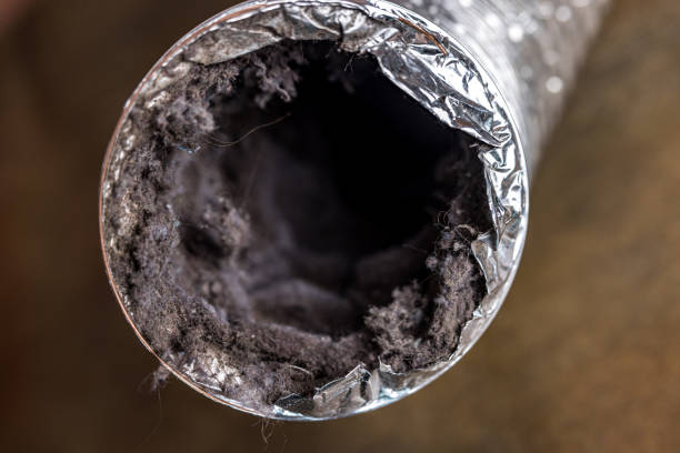 Best Residential Air Duct Cleaning  in Owensville, IN